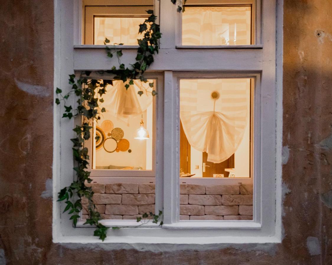 Cozee Studio - In Inima Brasovului Экстерьер фото